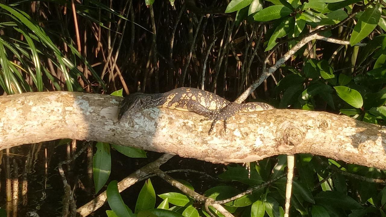 Mahi Villa Bentota Dış mekan fotoğraf