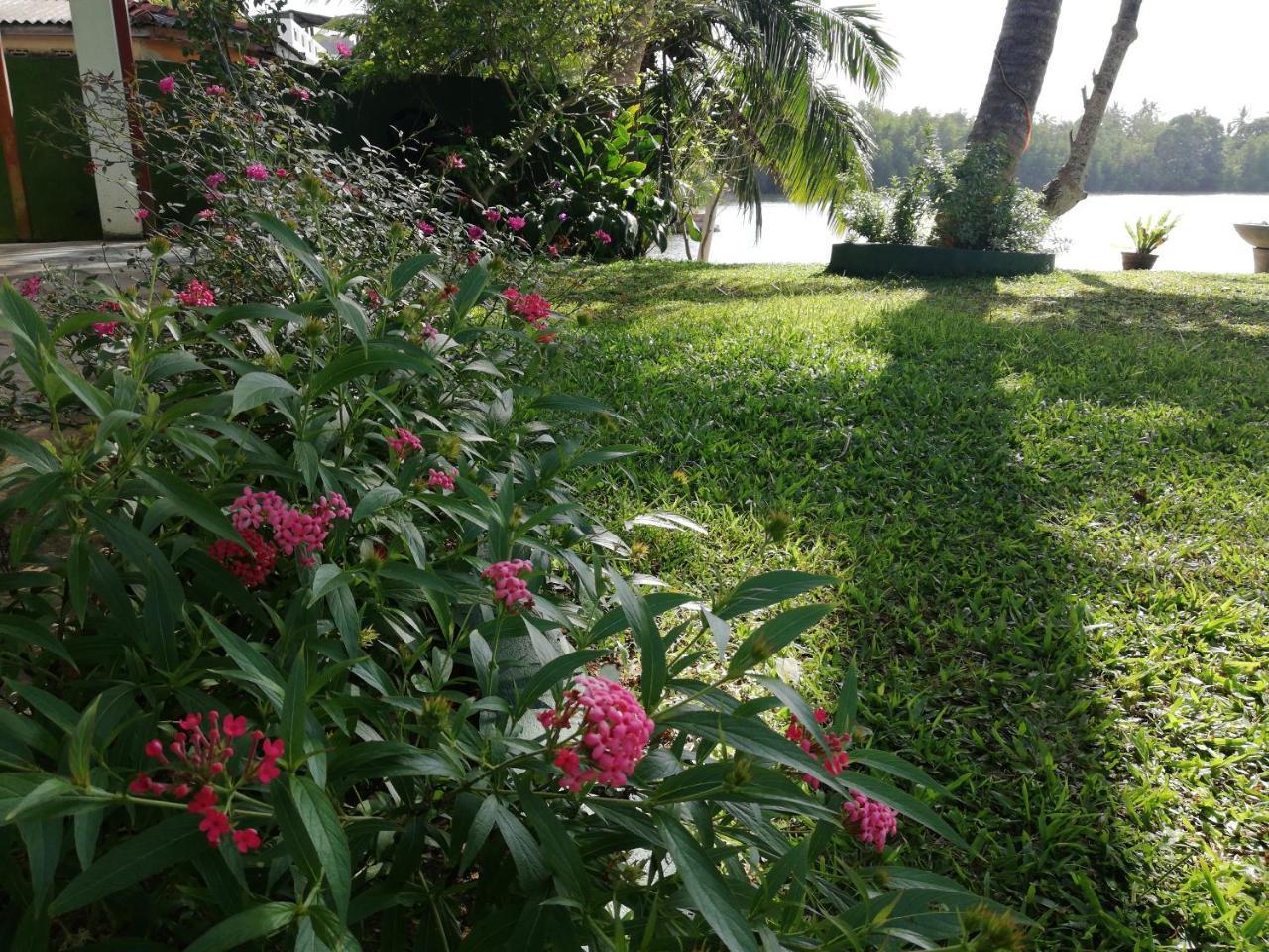 Mahi Villa Bentota Dış mekan fotoğraf