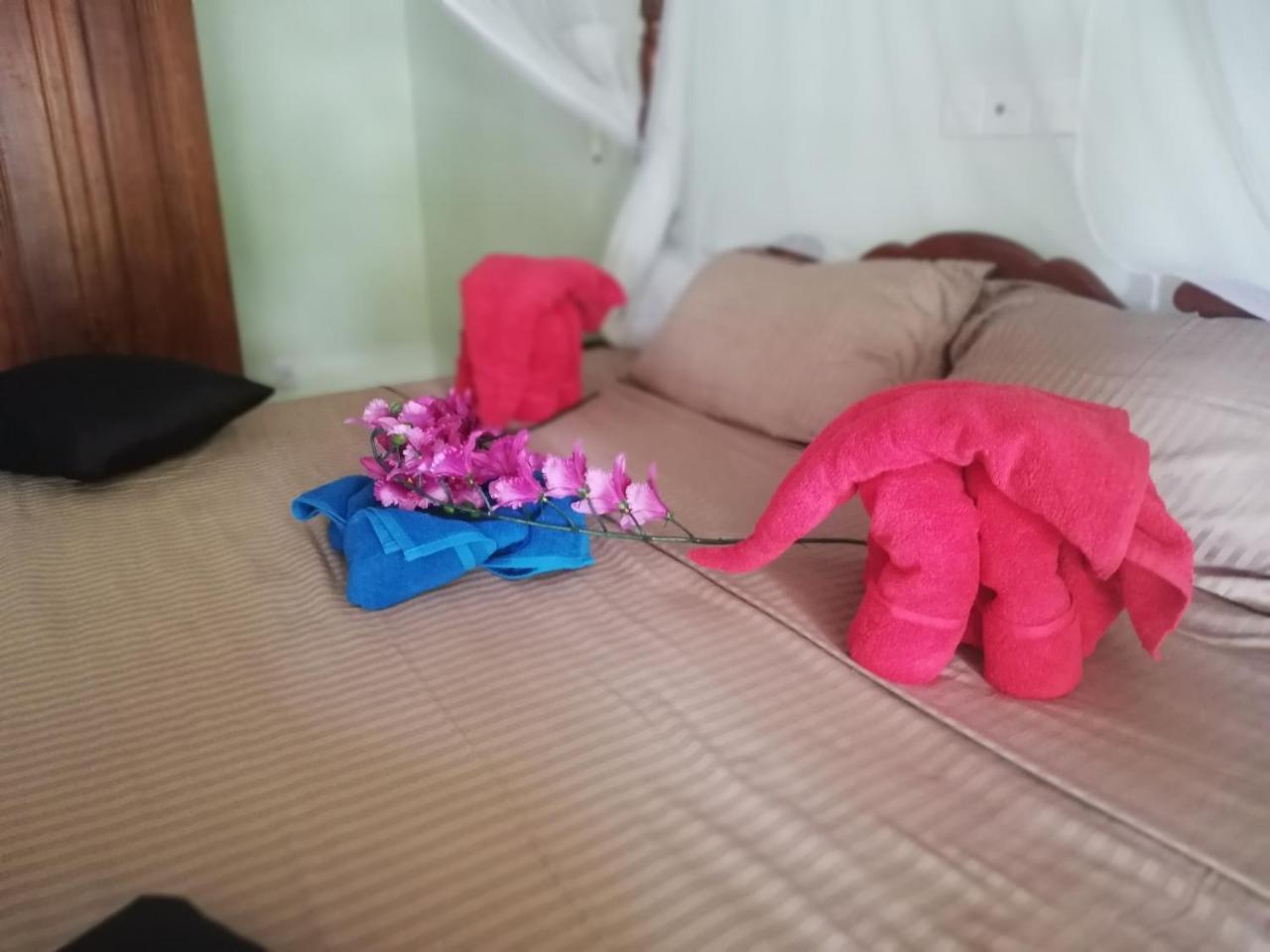 Mahi Villa Bentota Dış mekan fotoğraf